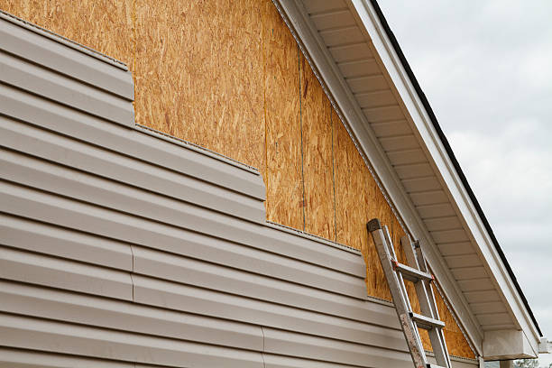 Professional Siding Repair technician working in Martinsville, VA
